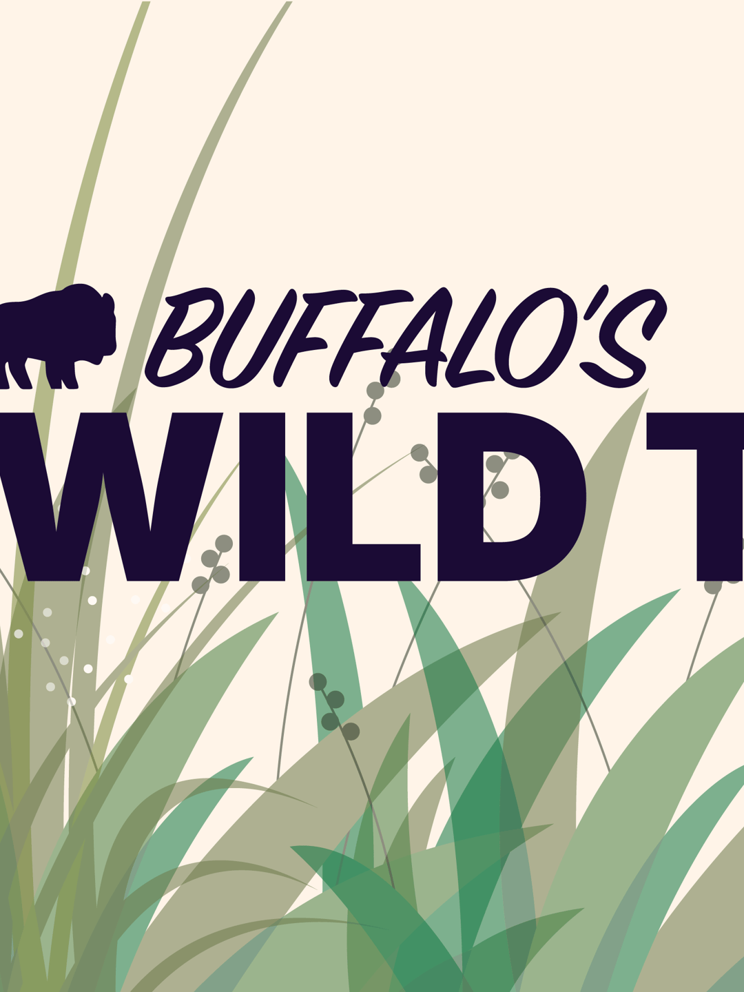 Buffalo's Wild Things Happy Hour