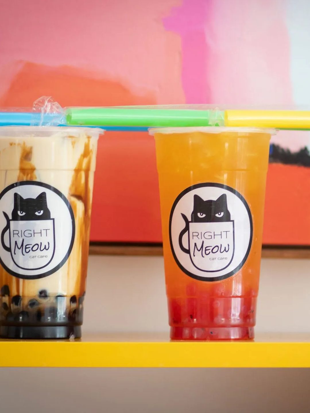 Right Meow Cat Cafe