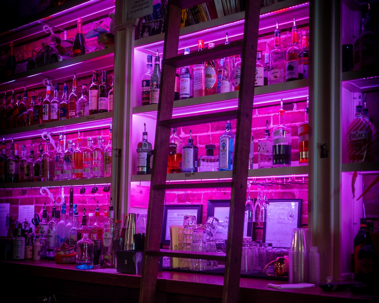 The back bar at House of Charm, its shelves of bottles lit magenta.