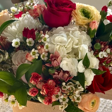 Celebration Bloom