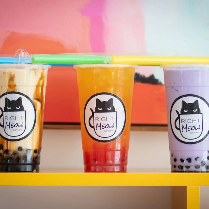 Right Meow Cat Cafe photo 4