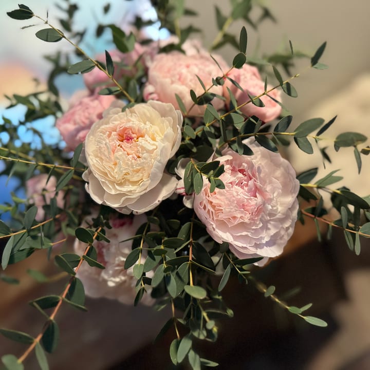 Hello Darling Floral photo 2